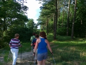 Aktualności 2012